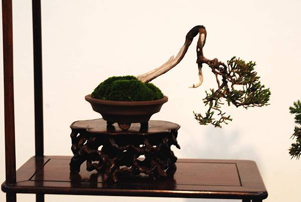 DSC_7381.jpg DSC_7381.jpg