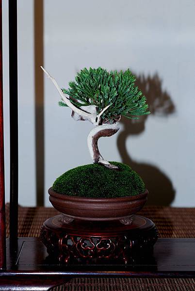 DSC_7385.jpg DSC_7385.jpg