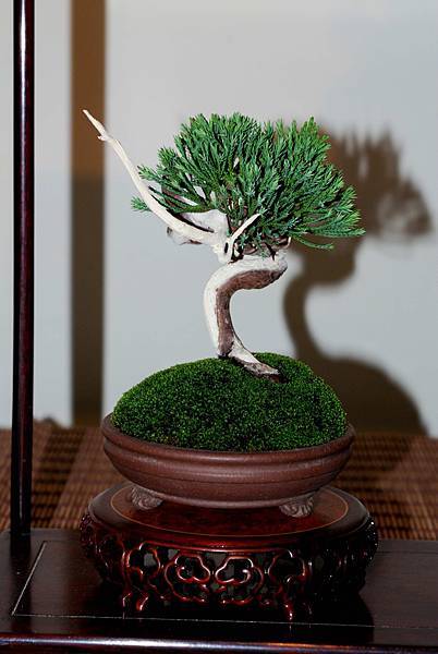 DSC_7386.jpg DSC_7386.jpg