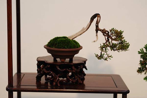 DSC_7390.jpg DSC_7390.jpg