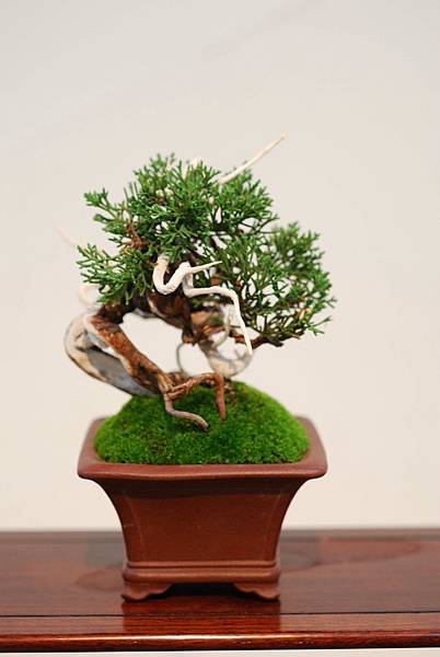 DSC_7389.jpg DSC_7389.jpg