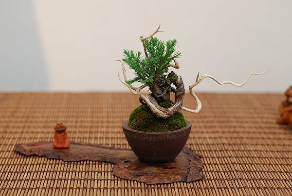 DSC_7395.jpg DSC_7395.jpg