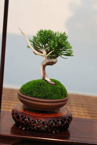 DSC_7392.jpg DSC_7392.jpg