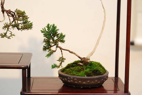 DSC_7391.jpg DSC_7391.jpg