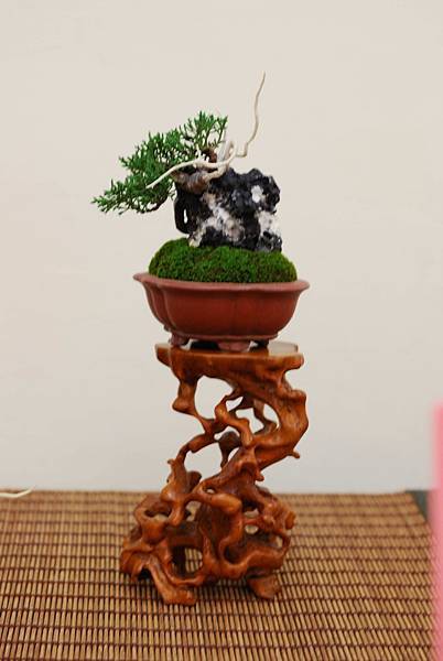 DSC_7396.jpg DSC_7396.jpg