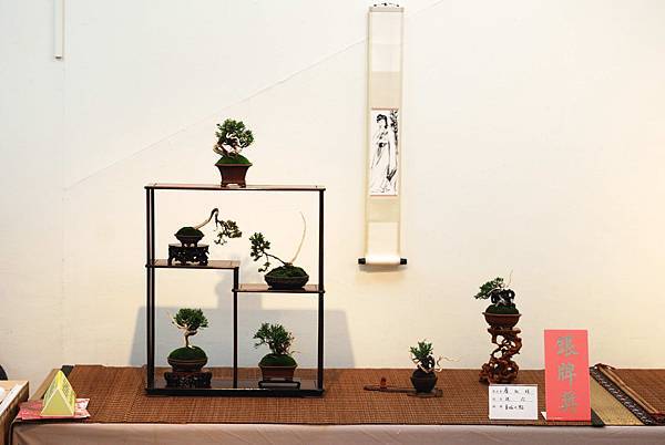 DSC_7397.jpg DSC_7397.jpg