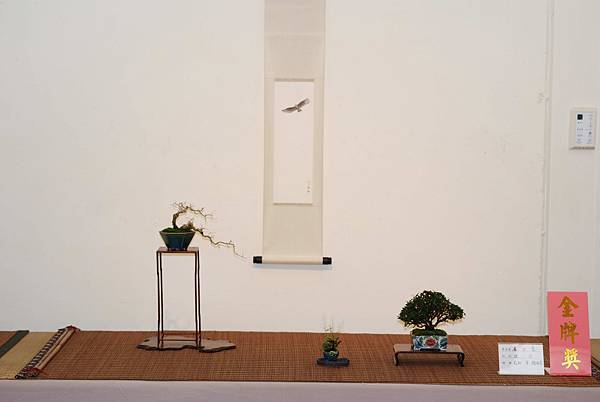 DSC_7399.jpg DSC_7399.jpg