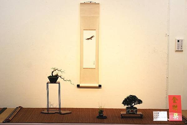 DSC_7398.jpg DSC_7398.jpg