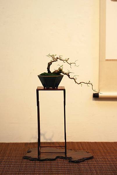 DSC_7401.jpg DSC_7401.jpg