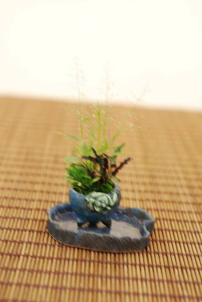 DSC_7403.jpg DSC_7403.jpg