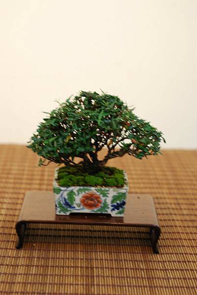 DSC_7404.jpg DSC_7404.jpg