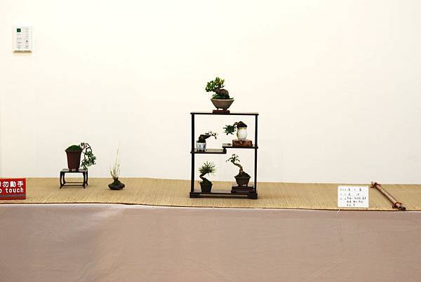 DSC_7408.jpg DSC_7408.jpg