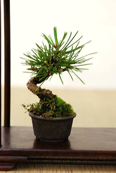 DSC_7412.jpg DSC_7412.jpg