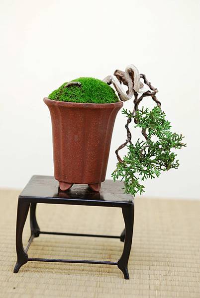 DSC_7415.jpg DSC_7415.jpg