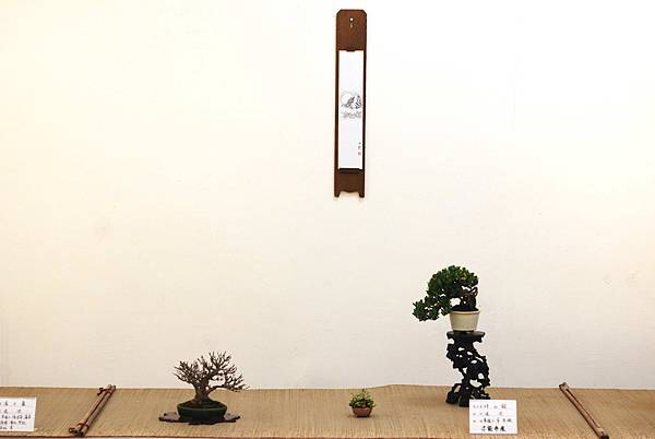 DSC_7417.jpg DSC_7417.jpg