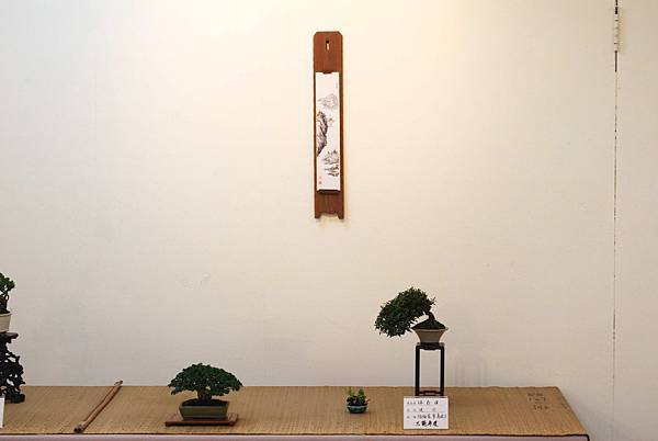 DSC_7423.jpg DSC_7423.jpg