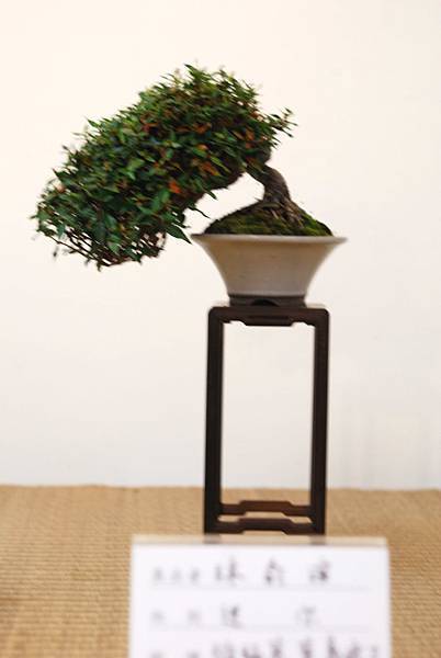 DSC_7430.jpg DSC_7430.jpg