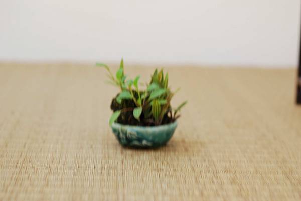 DSC_7427.jpg DSC_7427.jpg