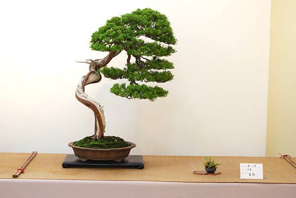 DSC_7432.jpg DSC_7432.jpg