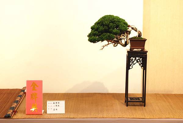 DSC_7434.jpg DSC_7434.jpg