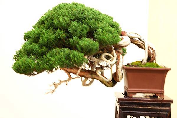 DSC_7435.jpg DSC_7435.jpg