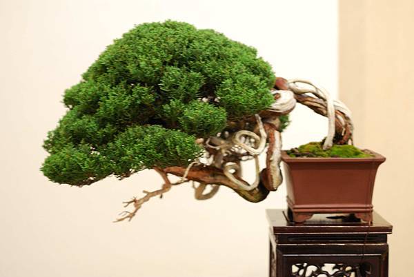 DSC_7436.jpg DSC_7436.jpg