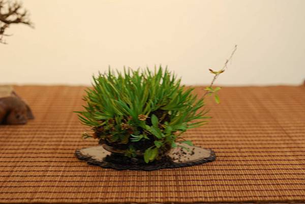 DSC_7439.jpg DSC_7439.jpg