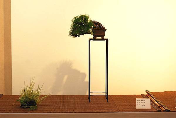 DSC_7440.jpg DSC_7440.jpg