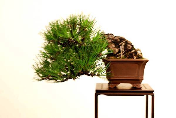 DSC_7441.jpg DSC_7441.jpg