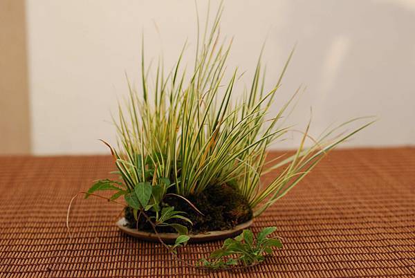 DSC_7442.jpg DSC_7442.jpg