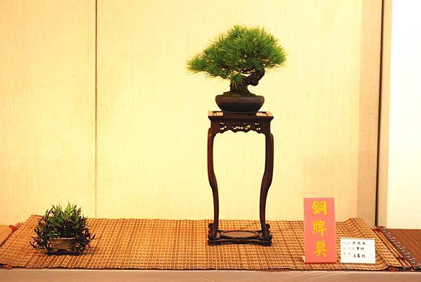 DSC_7443.jpg DSC_7443.jpg