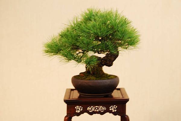 DSC_7446.jpg DSC_7446.jpg