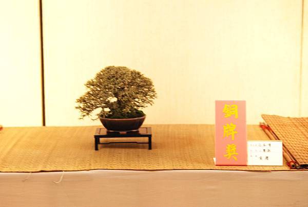 DSC_7448.jpg DSC_7448.jpg