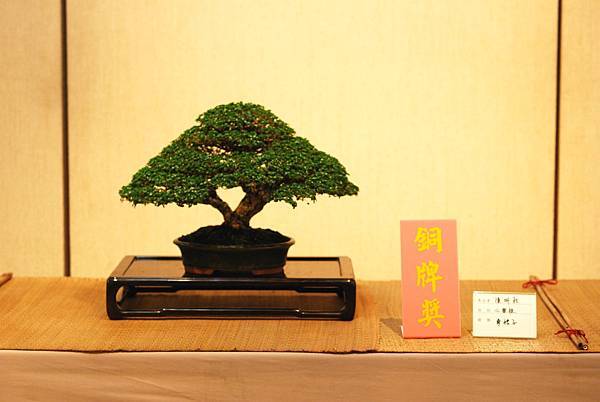 DSC_7453.jpg DSC_7453.jpg