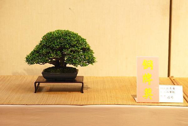 DSC_7456.jpg DSC_7456.jpg