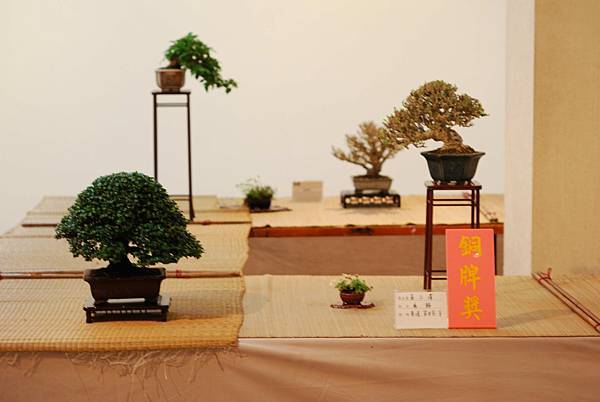 DSC_7460.jpg DSC_7460.jpg