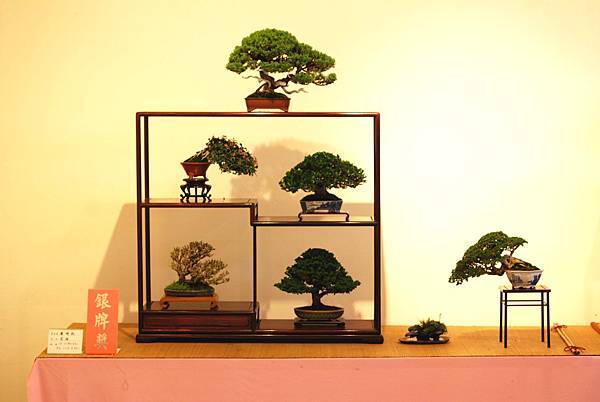 DSC_7467.jpg DSC_7467.jpg