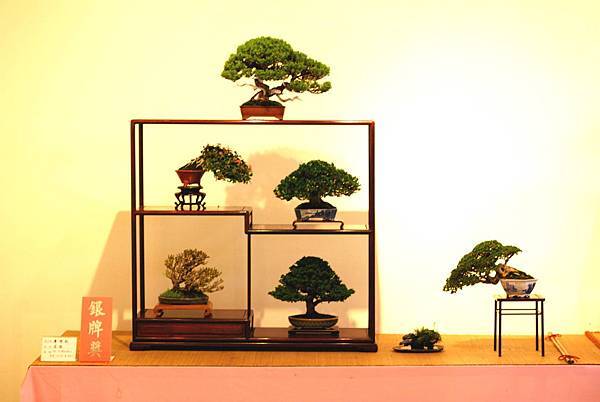 DSC_7468.jpg DSC_7468.jpg