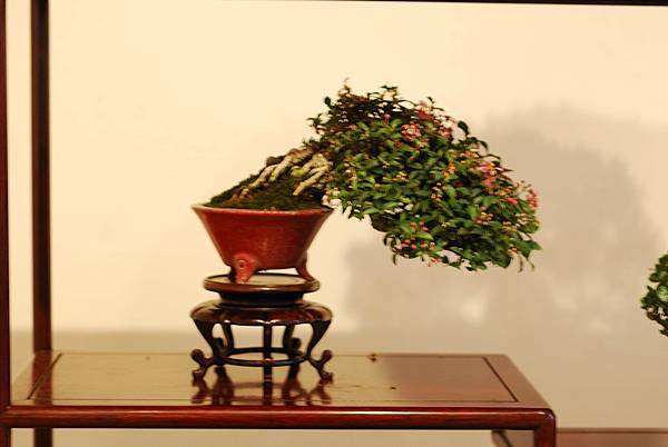 DSC_7473.jpg DSC_7473.jpg