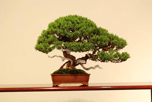 DSC_7470.jpg DSC_7470.jpg