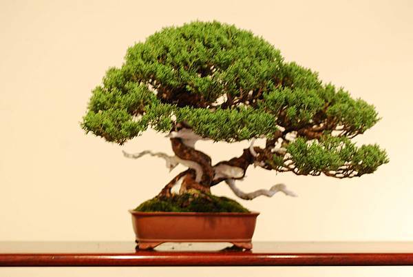 DSC_7471.jpg DSC_7471.jpg