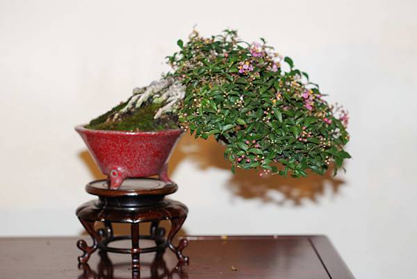 DSC_7478.jpg DSC_7478.jpg