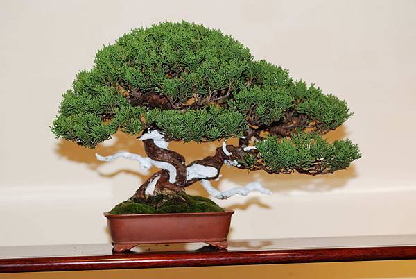 DSC_7479.jpg DSC_7479.jpg