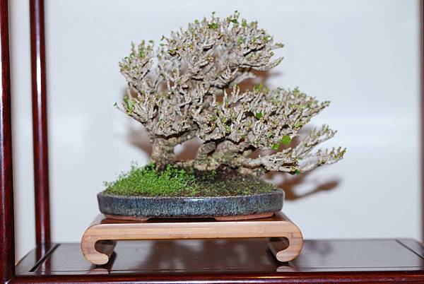 DSC_7483.jpg DSC_7483.jpg