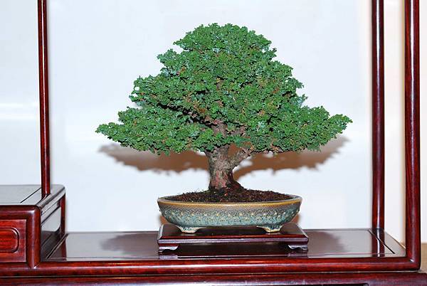 DSC_7484.jpg DSC_7484.jpg