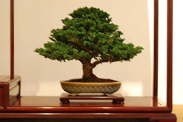 DSC_7486.jpg DSC_7486.jpg