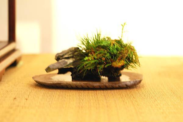 DSC_7490.jpg DSC_7490.jpg