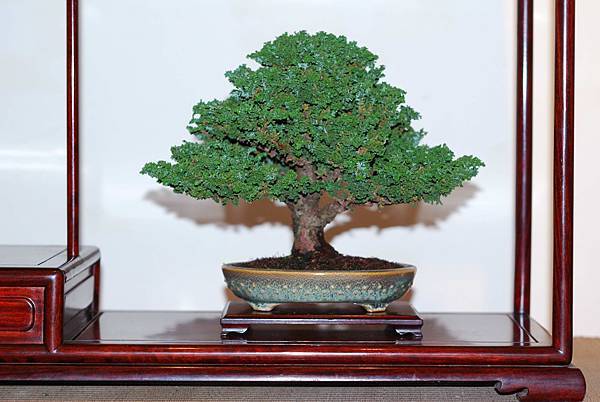 DSC_7492.jpg DSC_7492.jpg