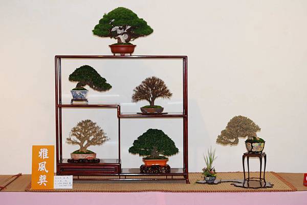 DSC_7493.jpg DSC_7493.jpg