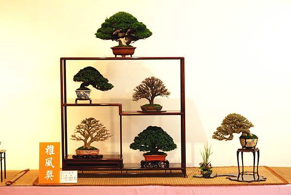 DSC_7494.jpg DSC_7494.jpg